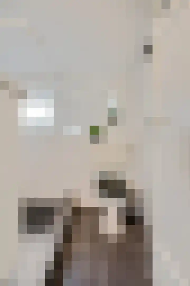 Vincent van Goghstraat 6 Ede thumbnail 24