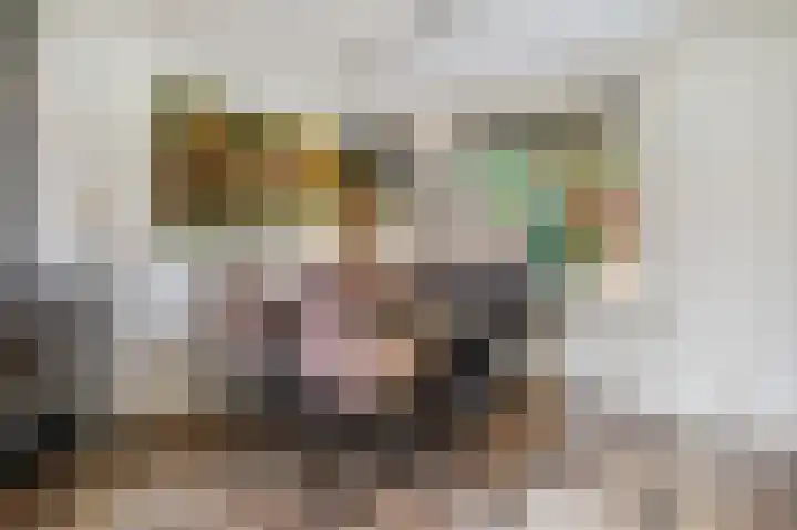 Vincent van Goghstraat 6 Ede thumbnail 6