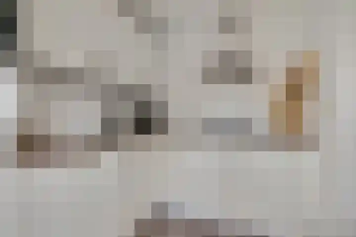 Vincent van Goghstraat 6 Ede thumbnail 9