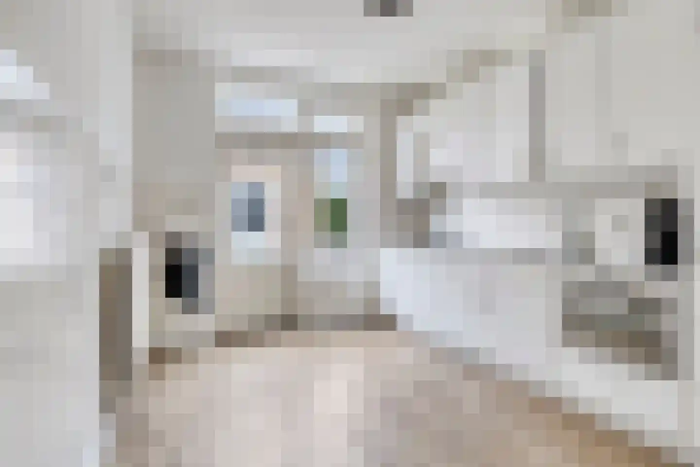 Vincent van Goghstraat 6 Helvoirt thumbnail 10