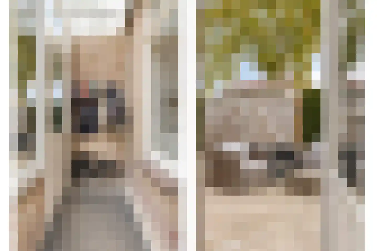 Vincent van Goghstraat 6 Helvoirt thumbnail 12