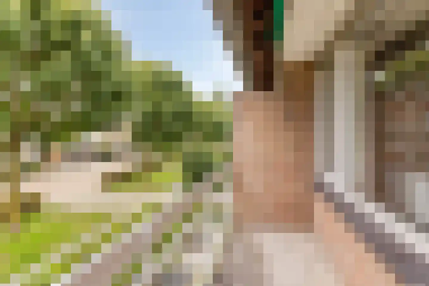 Vincent van Goghstraat 6 Helvoirt thumbnail 23