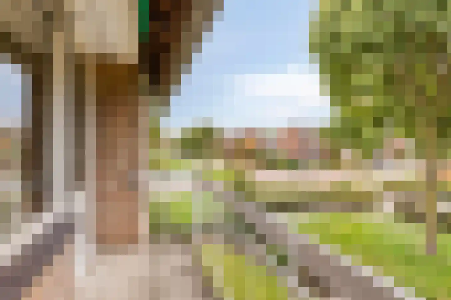 Vincent van Goghstraat 6 Helvoirt thumbnail 24