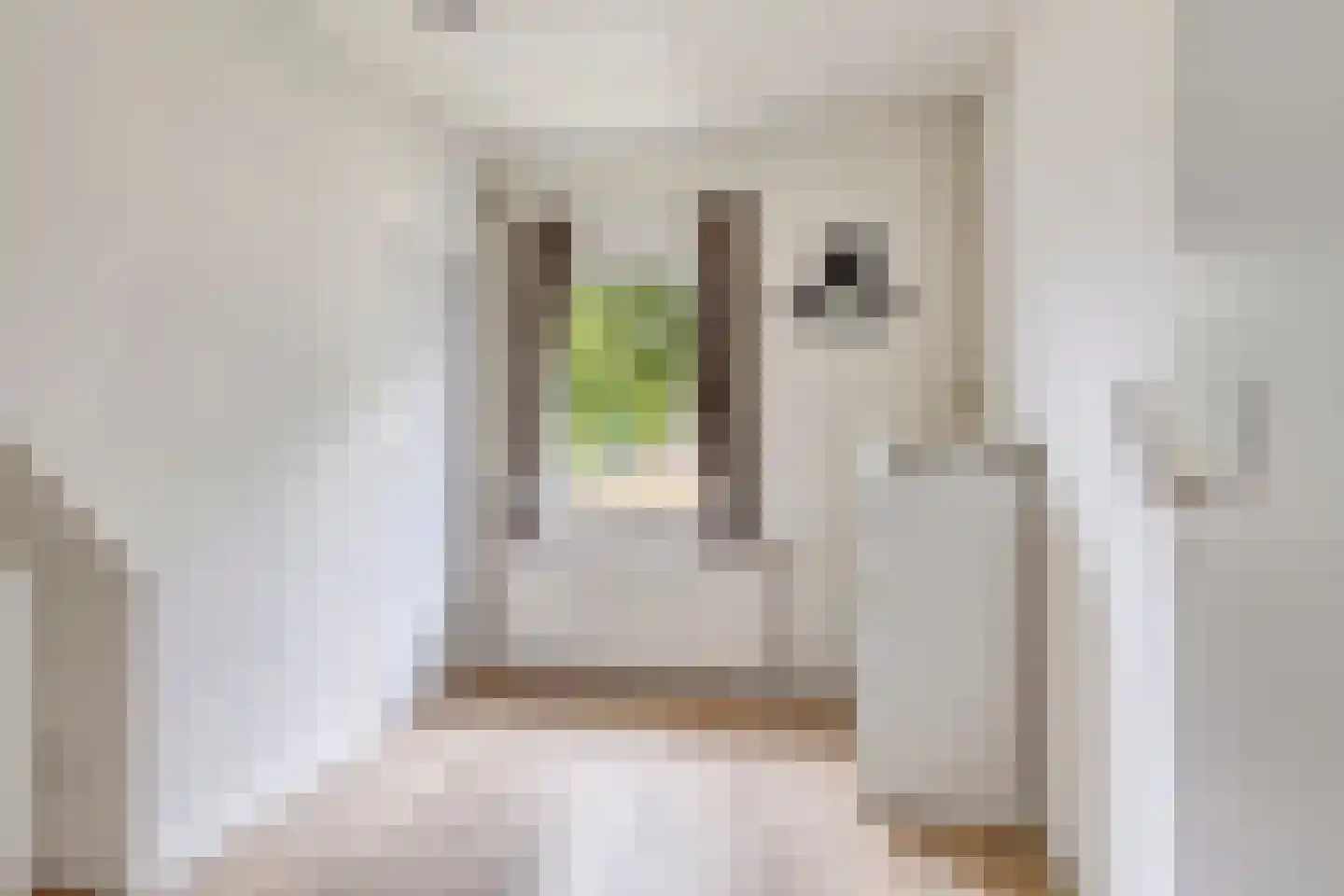Vincent van Goghstraat 6 Helvoirt thumbnail 25