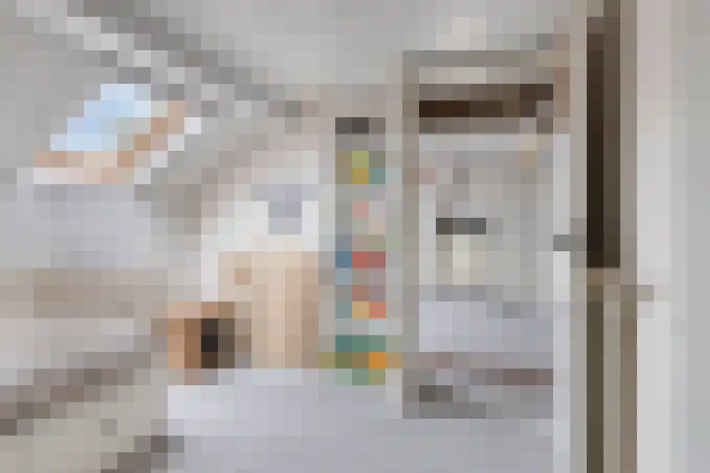 Vincent van Goghstraat 6 Helvoirt thumbnail 29