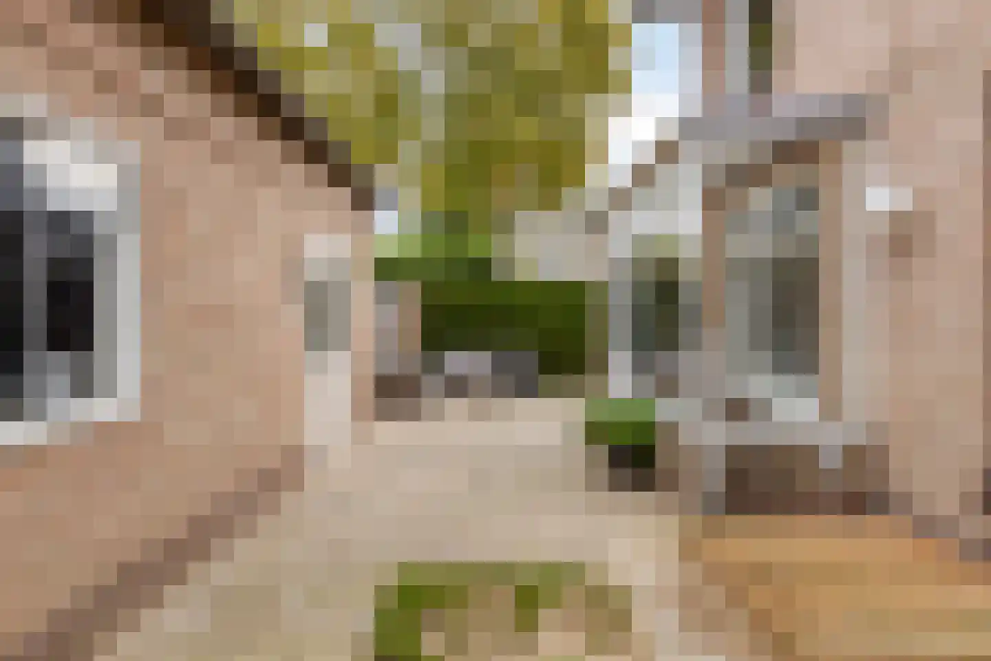 Vincent van Goghstraat 6 Helvoirt thumbnail 30