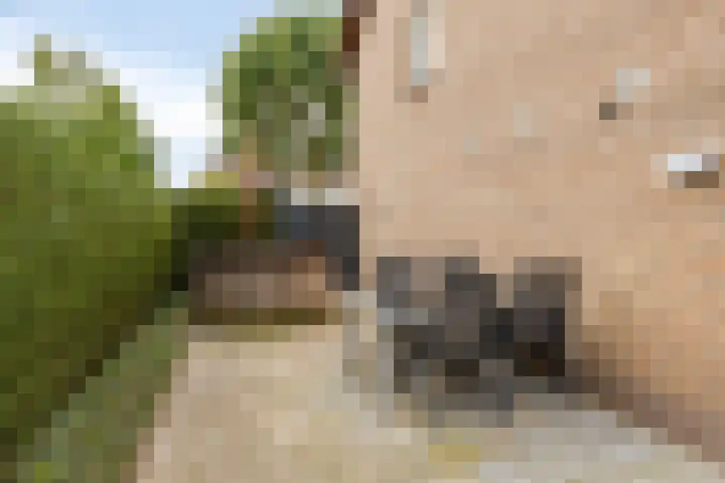 Vincent van Goghstraat 6 Helvoirt thumbnail 33