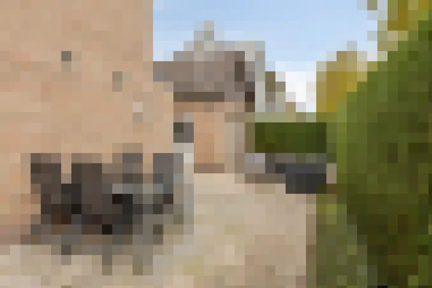 Vincent van Goghstraat 6 Helvoirt thumbnail 34