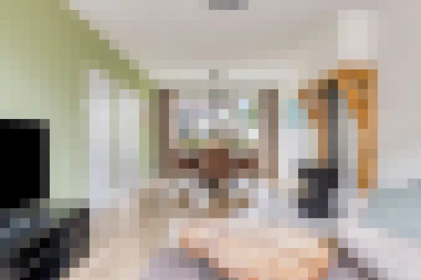Vincent van Goghstraat 6 Helvoirt thumbnail 6