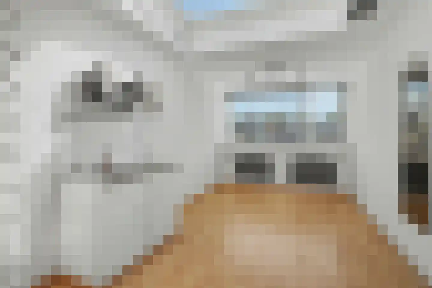Vincent van Goghstraat 6 Vlijmen thumbnail 22