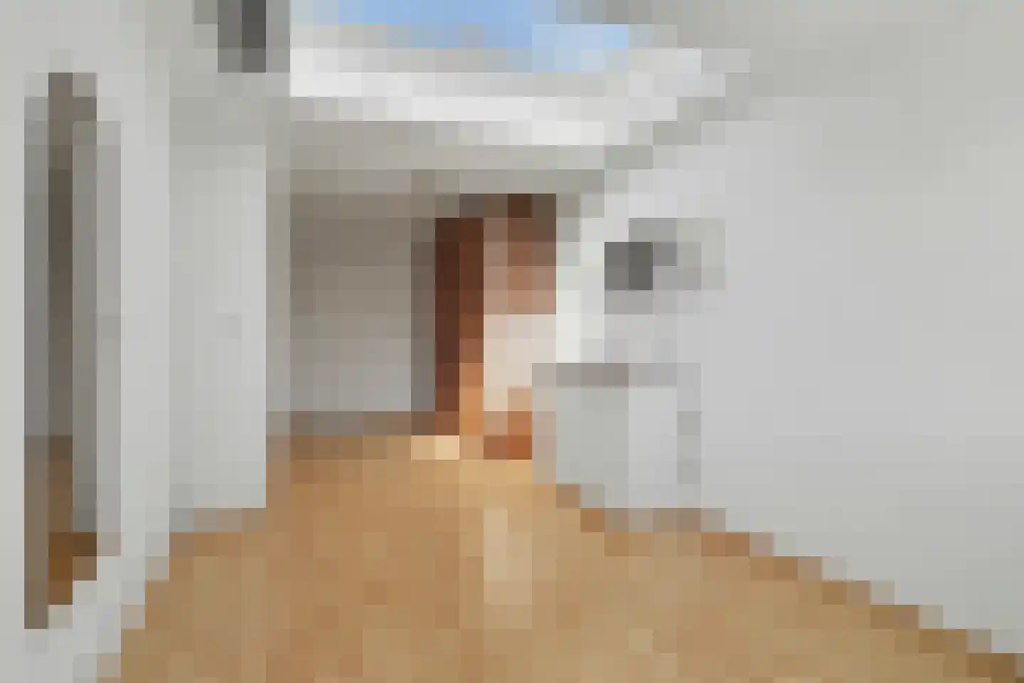 Vincent van Goghstraat 6 Vlijmen thumbnail 23