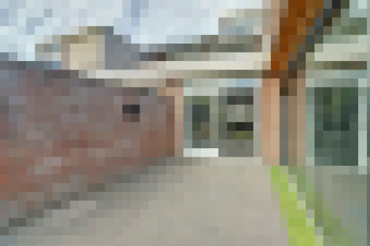 Vincent van Goghstraat 6 Vlijmen thumbnail 34