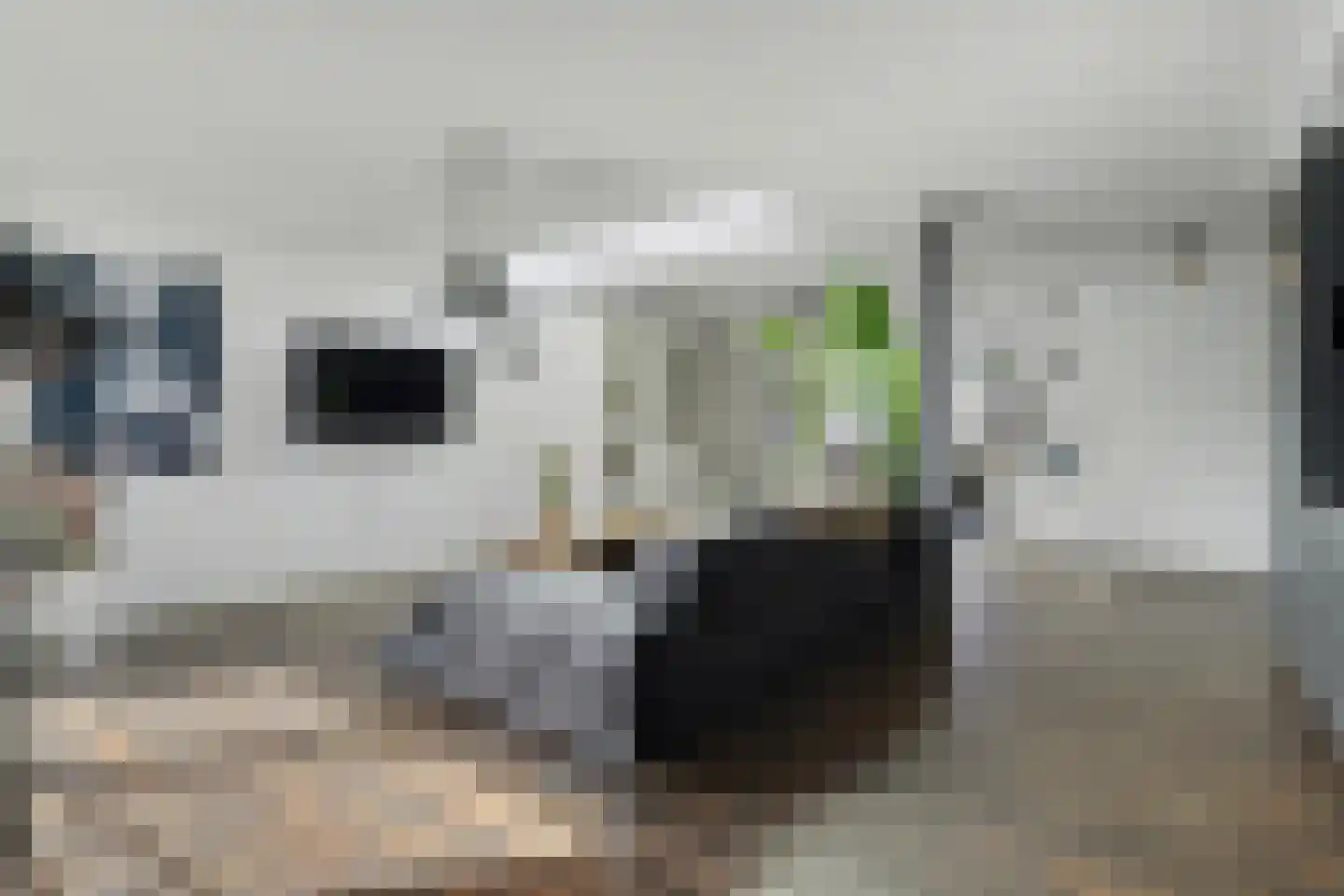 Vincent van Goghstraat 6 Vlijmen thumbnail 4