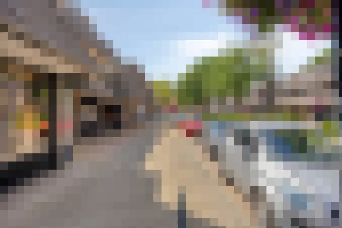Vincent van Goghstraat 60 Nuenen thumbnail 21
