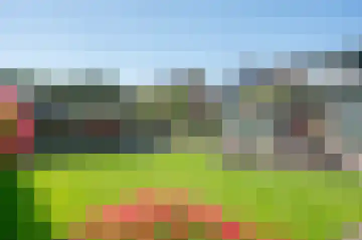 Vincent van Goghstraat 62 Zelhem thumbnail 35