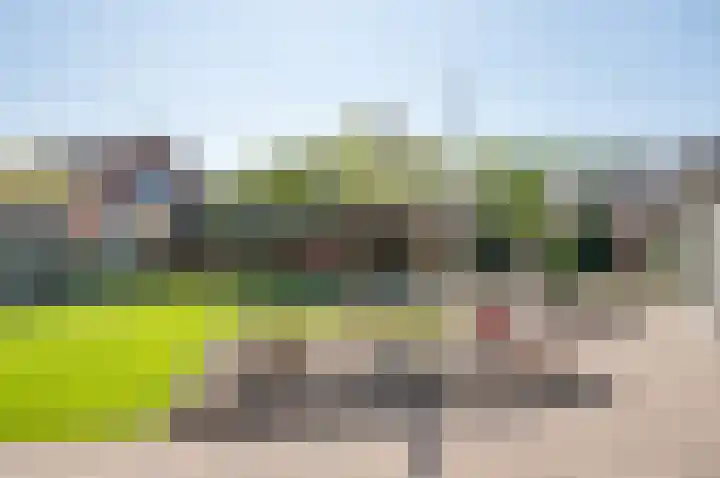 Vincent van Goghstraat 62 Zelhem thumbnail 38