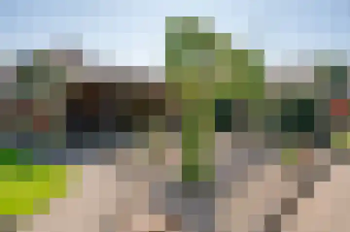 Vincent van Goghstraat 62 Zelhem thumbnail 39