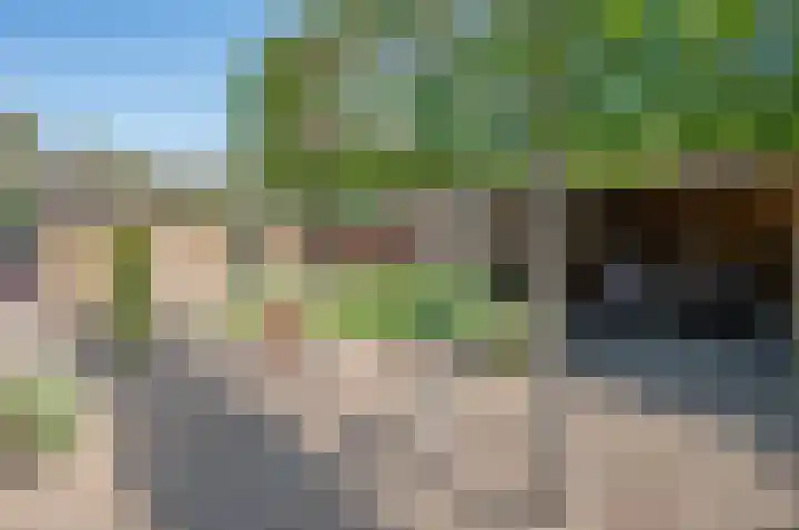 Vincent van Goghstraat 62 Zelhem thumbnail 42