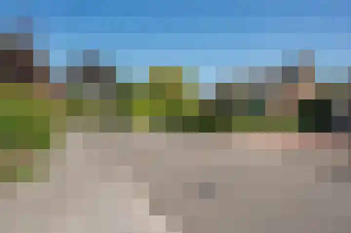 Vincent van Goghstraat 62 Zelhem thumbnail 5
