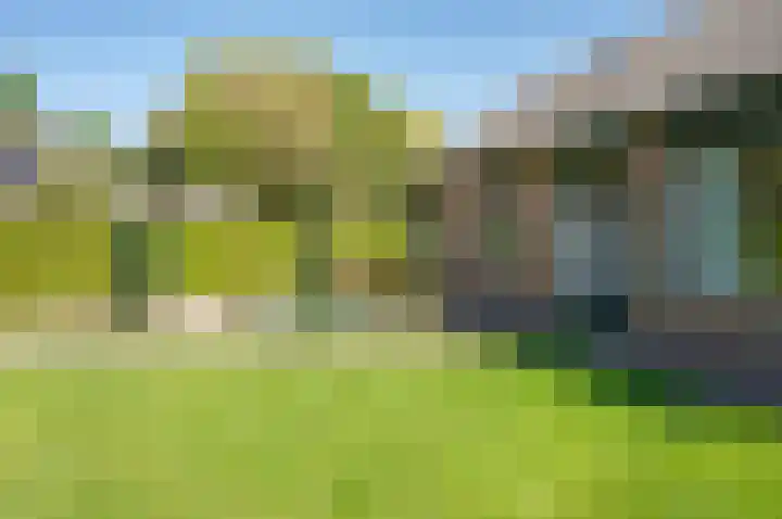 Vincent van Goghstraat 62 Zelhem thumbnail 8