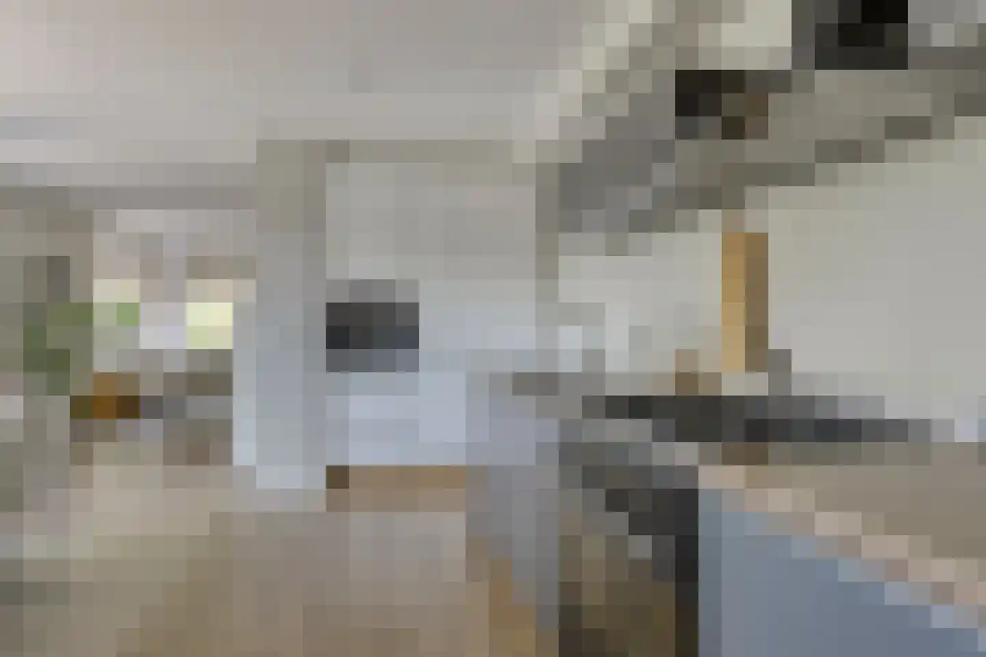 Vincent van Goghstraat 65 Leeuwarden thumbnail 15