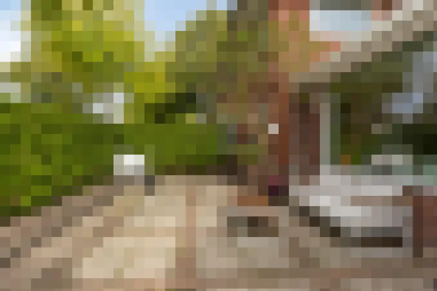 Vincent van Goghstraat 65 Leeuwarden thumbnail 29