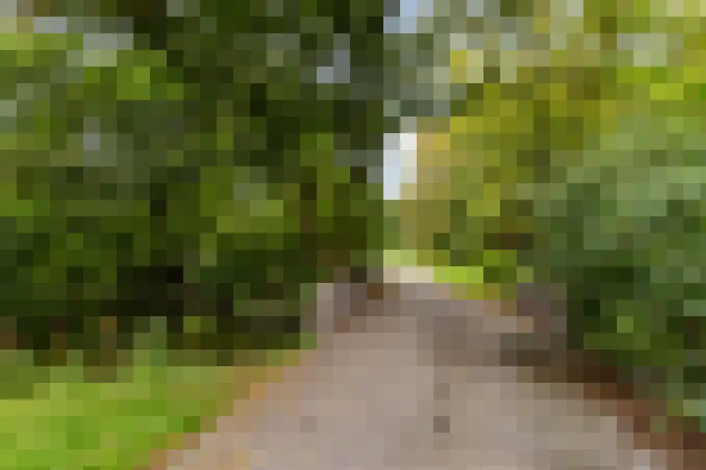 Vincent van Goghstraat 65 Leeuwarden thumbnail 37