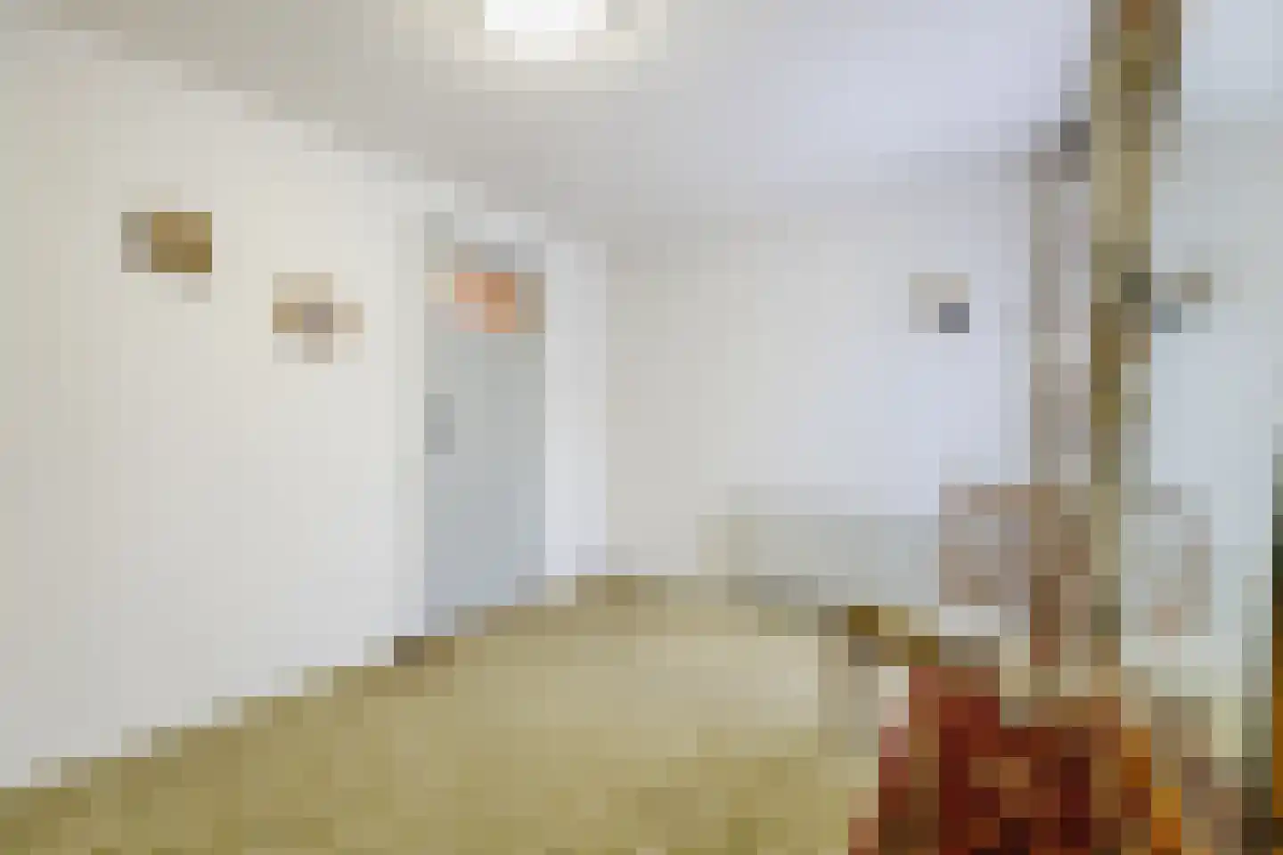 Vincent van Goghstraat 7 Tilburg thumbnail 15