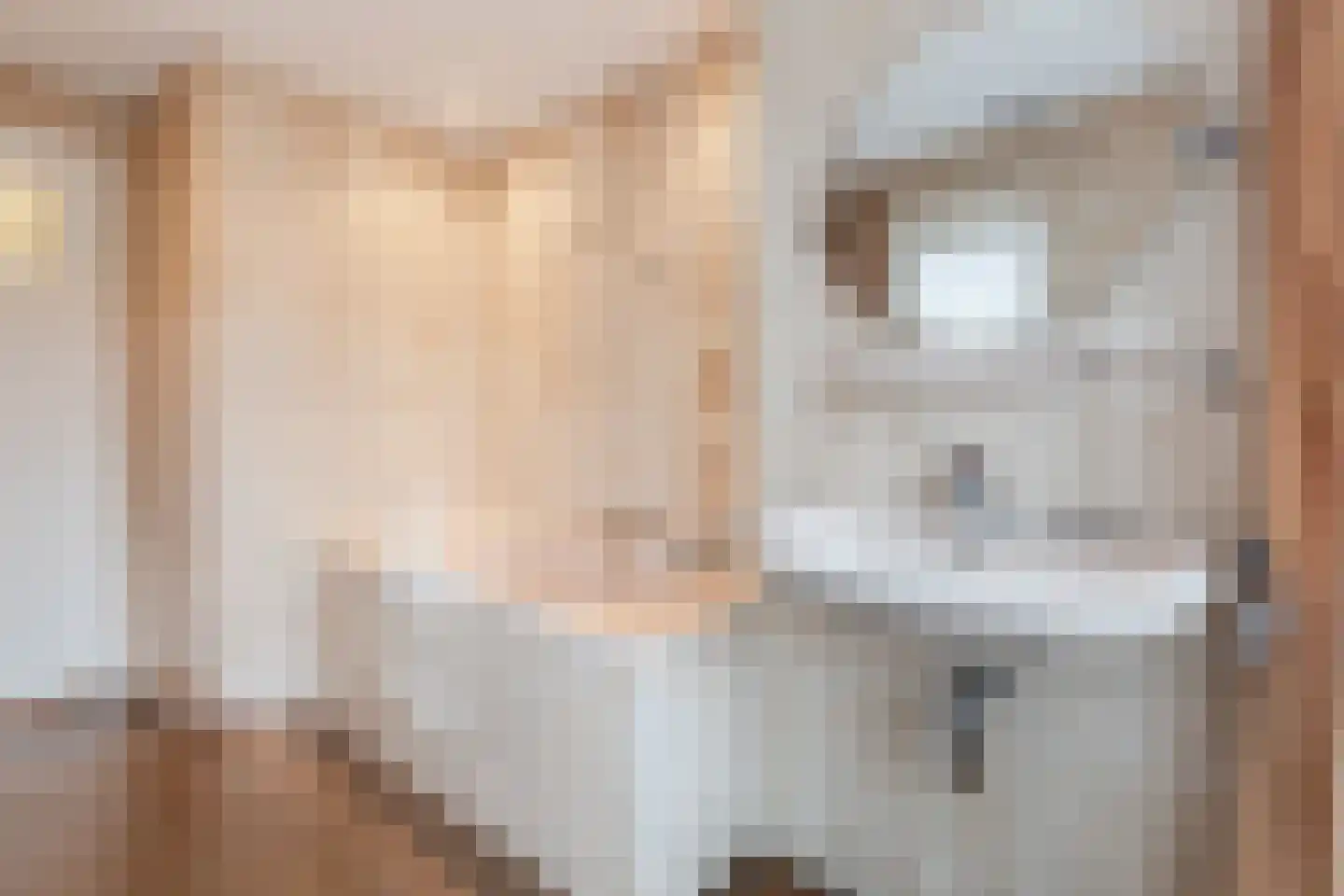 Vincent van Goghstraat 7 Tilburg thumbnail 18