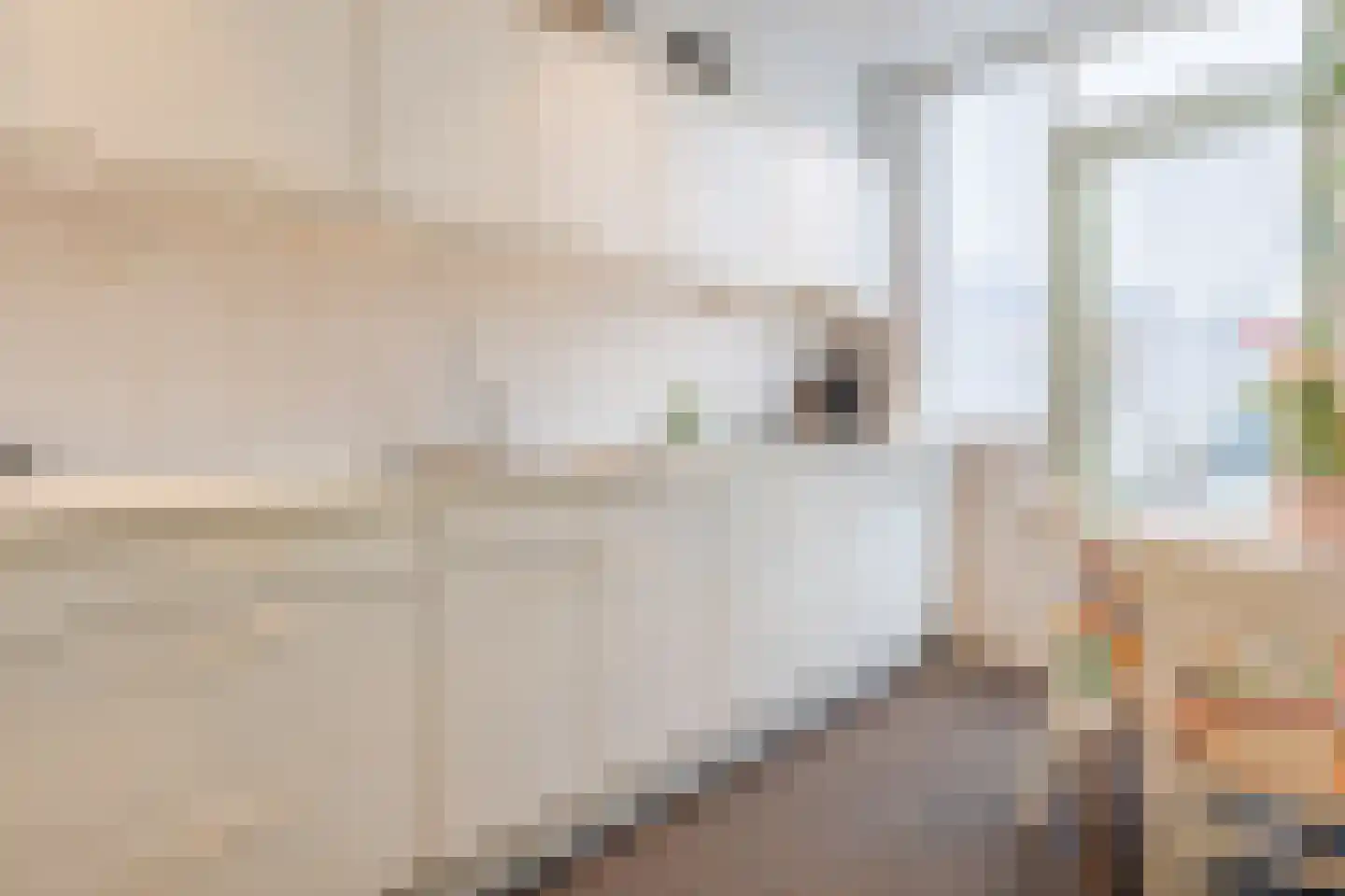 Vincent van Goghstraat 7 Tilburg thumbnail 7