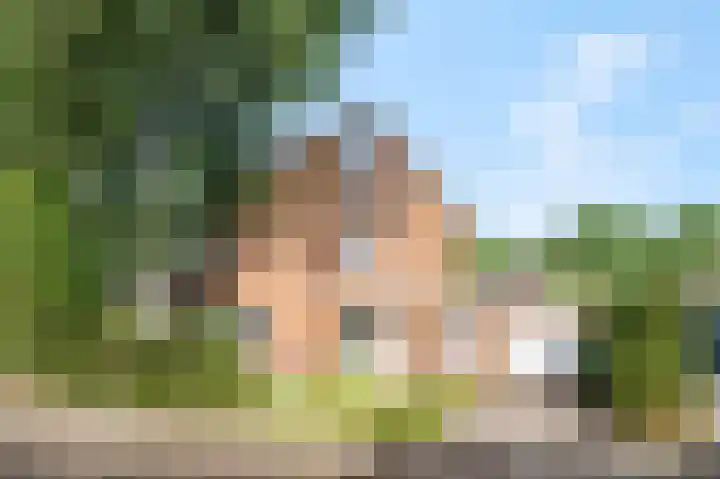 Vincent van Goghstraat 7 Voorthuizen