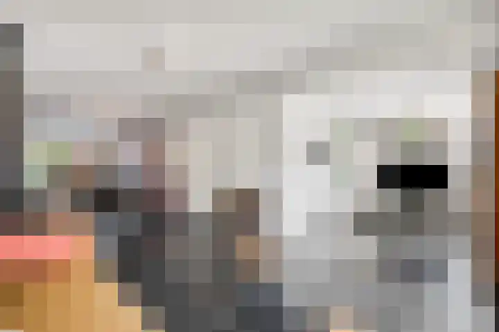 Vincent van Goghstraat 7 Voorthuizen thumbnail 19