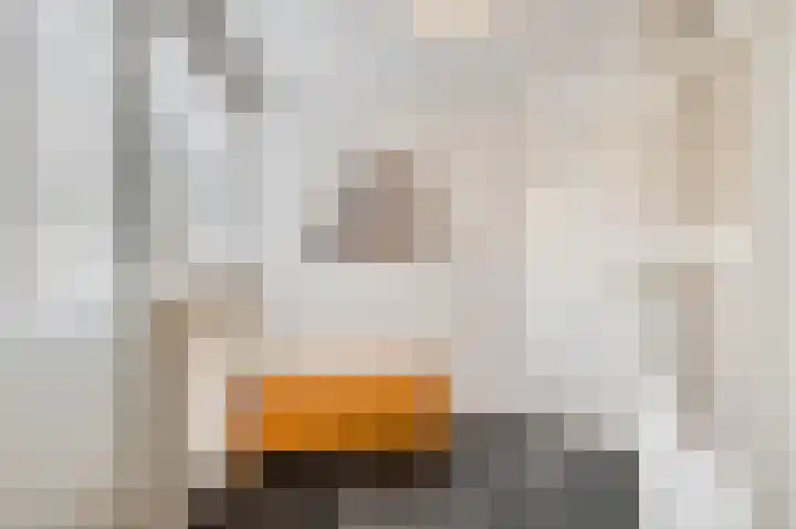Vincent van Goghstraat 7 Voorthuizen thumbnail 27