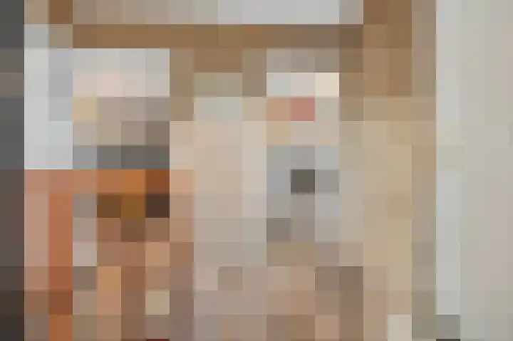 Vincent van Goghstraat 7 Voorthuizen thumbnail 28