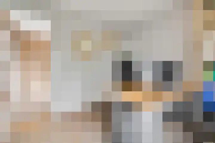 Vincent van Goghstraat 7 Voorthuizen thumbnail 31