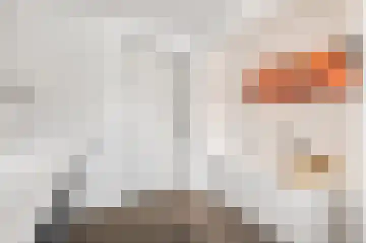 Vincent van Goghstraat 7 Voorthuizen thumbnail 35