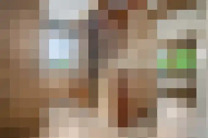Vincent van Goghstraat 7 Voorthuizen thumbnail 37