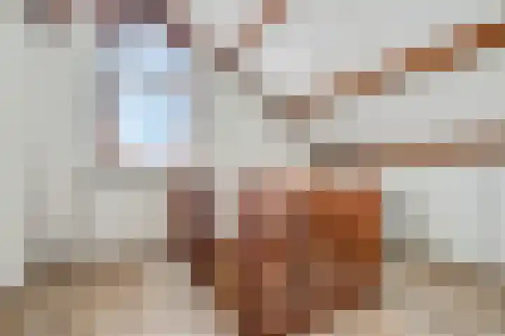 Vincent van Goghstraat 7 Voorthuizen thumbnail 38