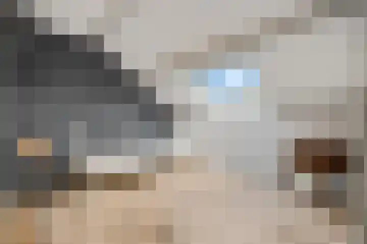Vincent van Goghstraat 7 Voorthuizen thumbnail 40