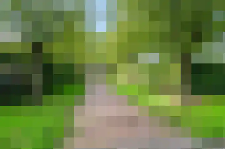 Vincent van Goghstraat 7 Voorthuizen thumbnail 44