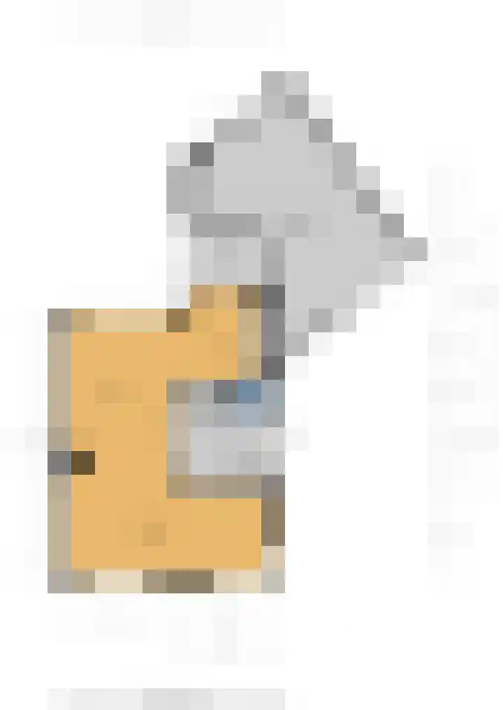 Vincent van Goghstraat 7 Voorthuizen thumbnail 45
