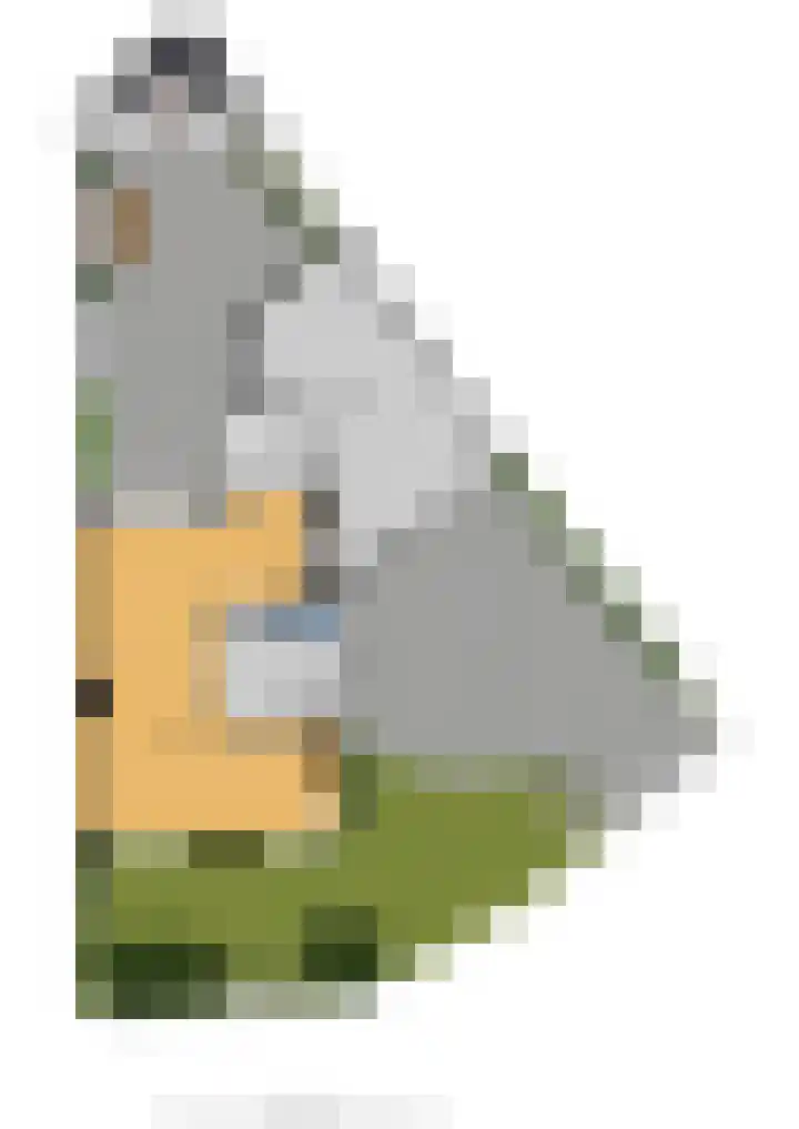 Vincent van Goghstraat 7 Voorthuizen thumbnail 48