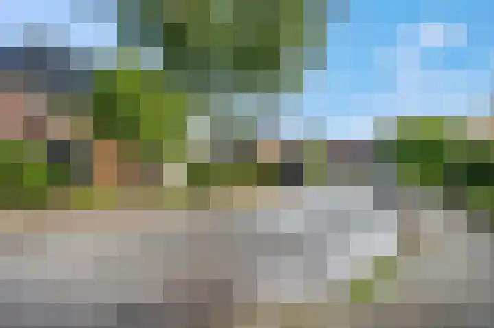 Vincent van Goghstraat 7 Voorthuizen thumbnail 6