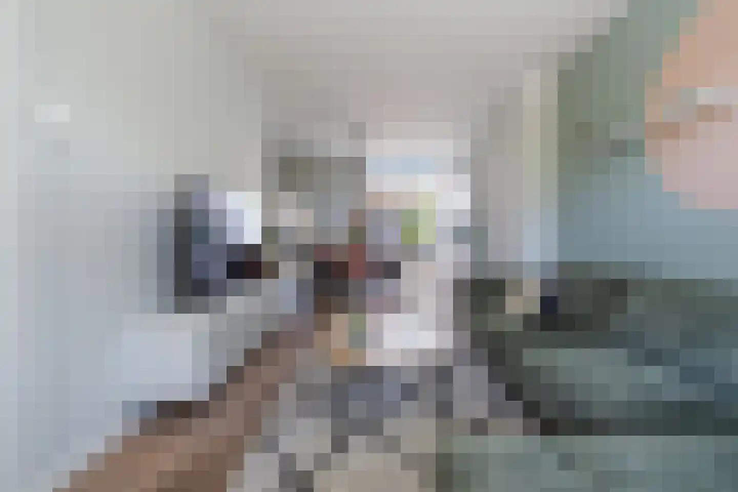Vincent van Goghstraat 8 Breda thumbnail 10