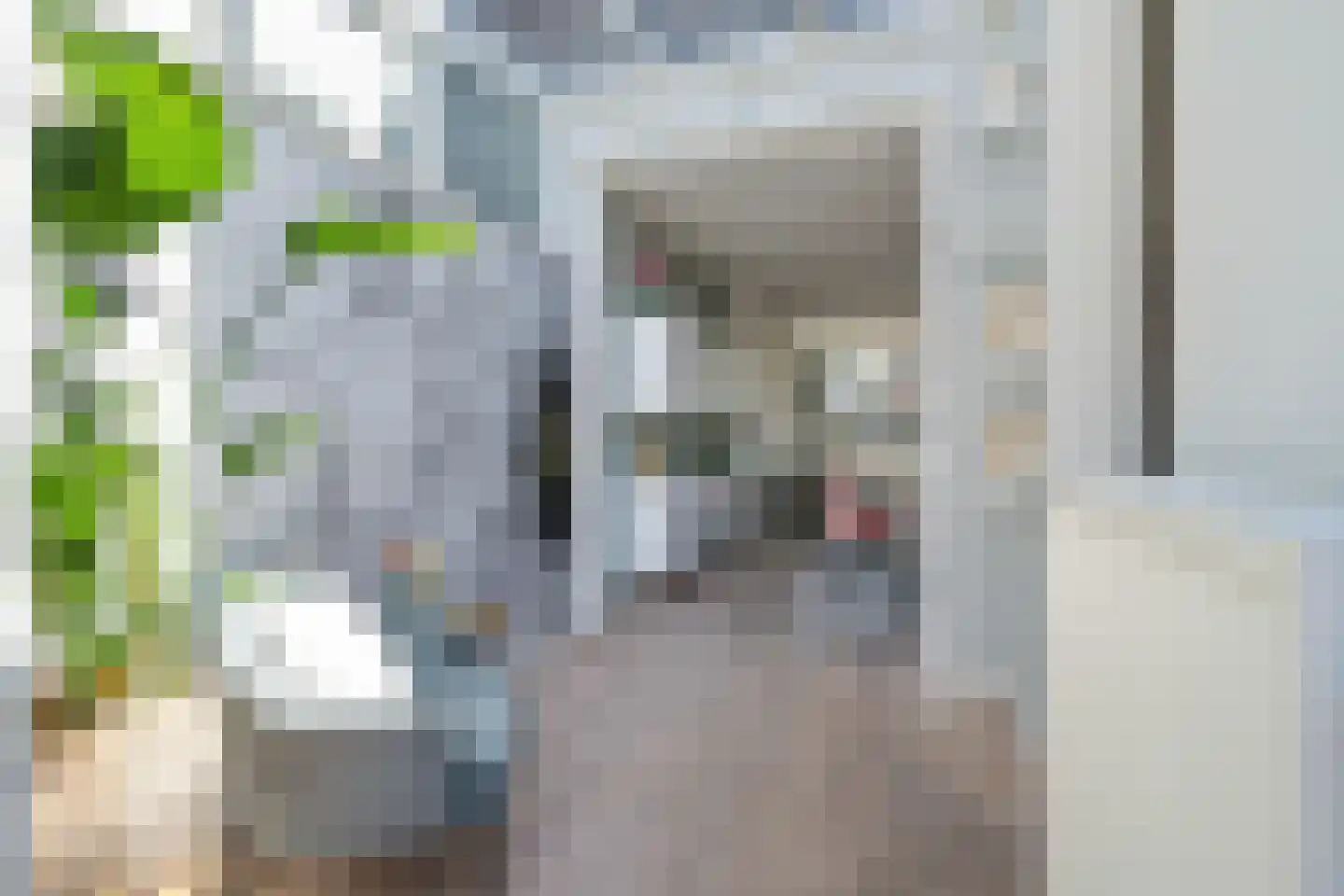 Vincent van Goghstraat 8 Breda thumbnail 15