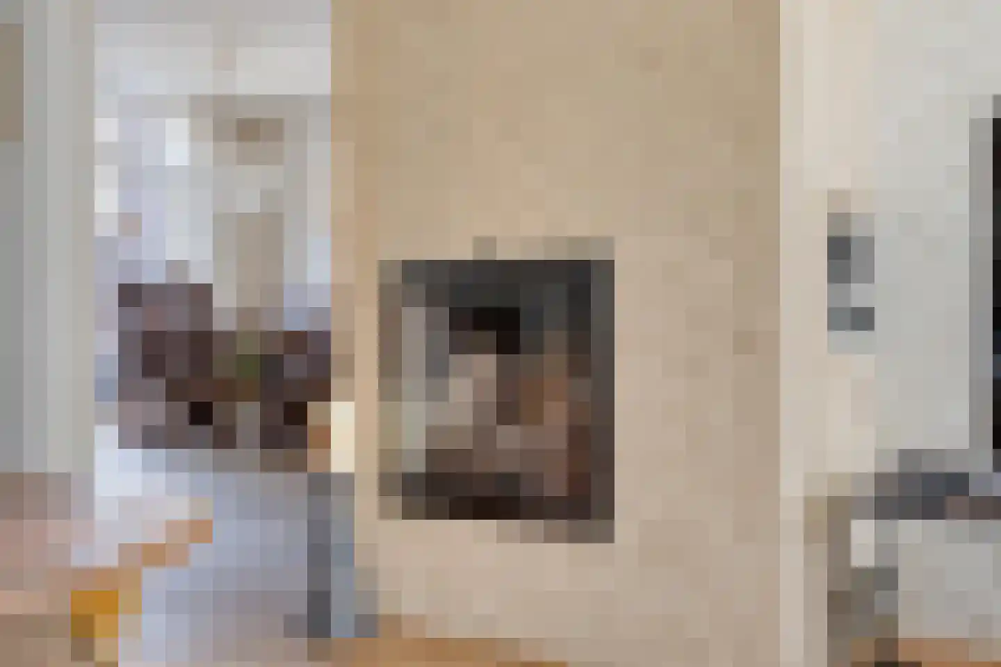 Vincent van Goghstraat 8 Veghel thumbnail 11