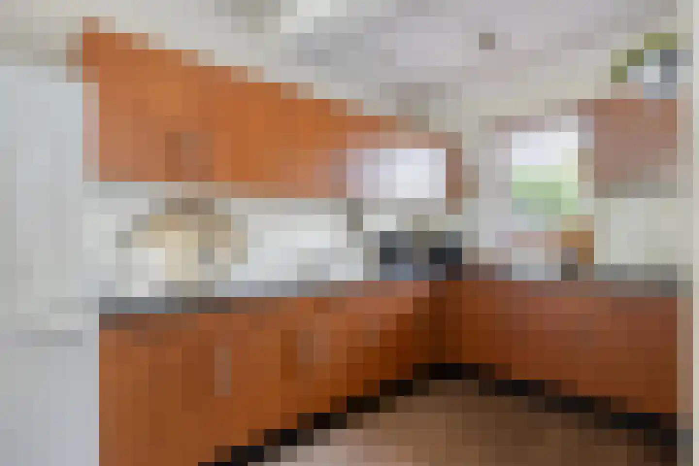 Vincent van Goghstraat 8 Veghel thumbnail 18