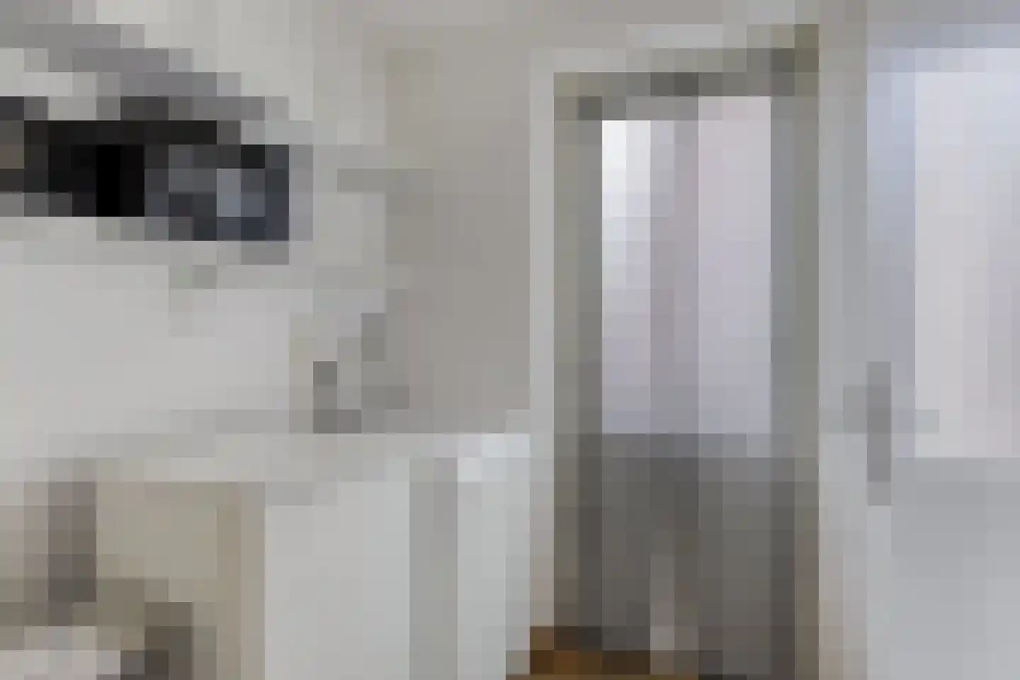 Vincent van Goghstraat 8 Veghel thumbnail 21