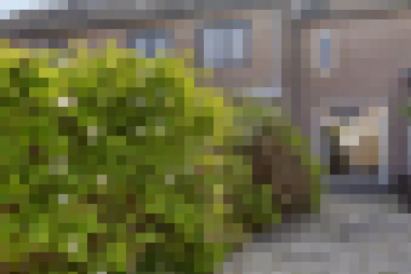 Vincent van Goghstraat 8 Veghel thumbnail 40