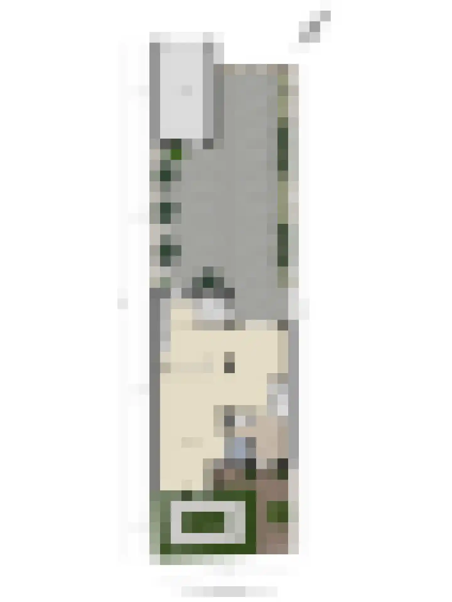 Vincent van Goghstraat 8 Veghel thumbnail 45